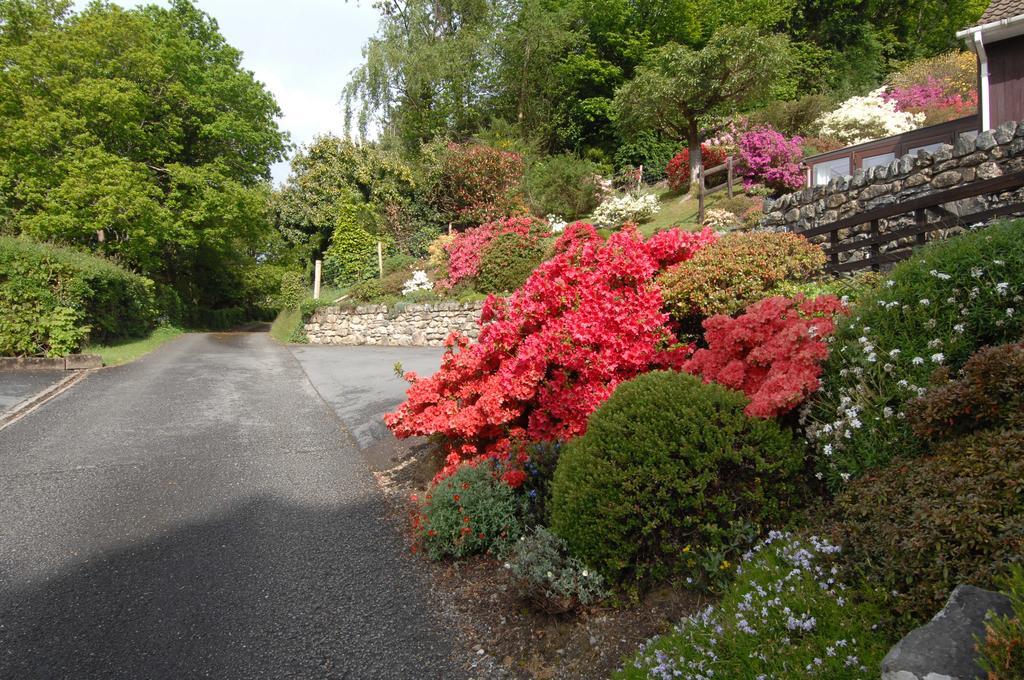 Dwy Olwyn Hotell Dolgellau Exteriör bild