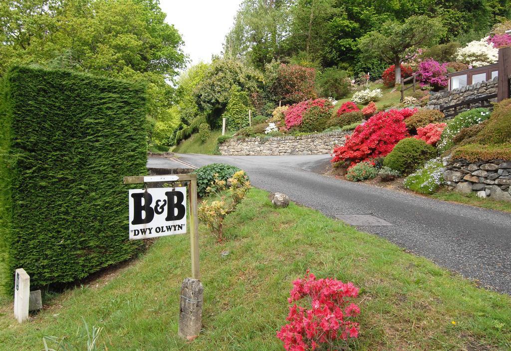Dwy Olwyn Hotell Dolgellau Exteriör bild