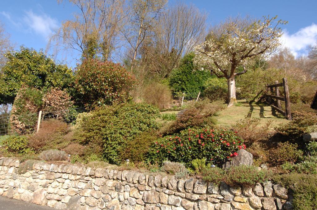 Dwy Olwyn Hotell Dolgellau Exteriör bild
